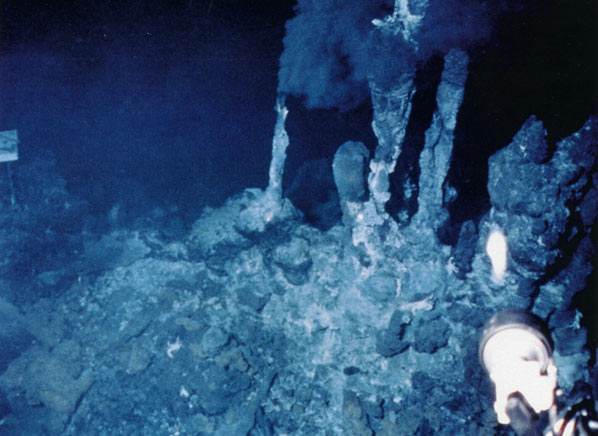life extreme environments hydrothermal vent