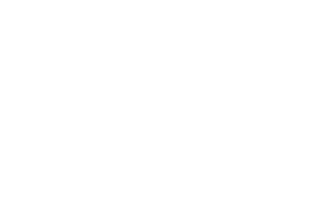 NSS ChapterLogo White