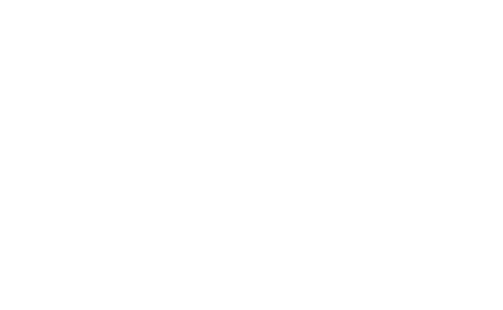 NSS Logo White
