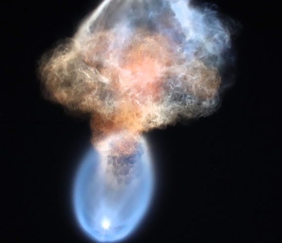 CRS 35 jellyfish