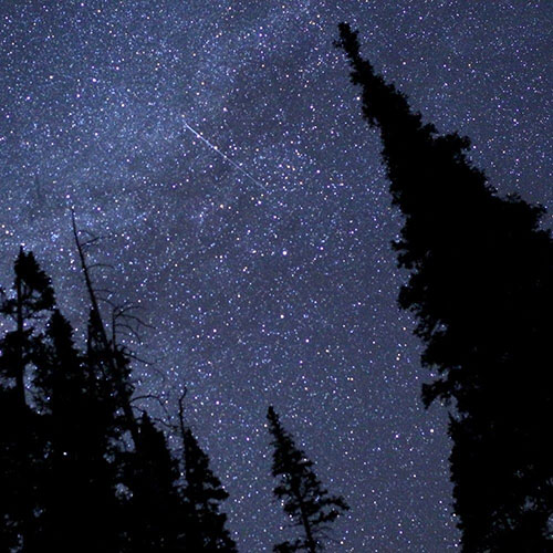 Perseid