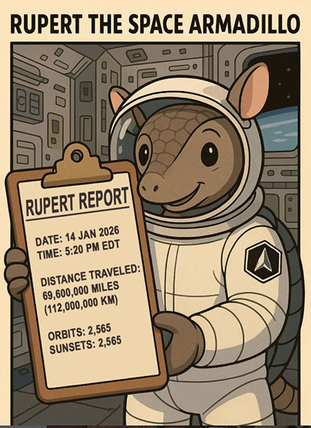 Rupert Report Card